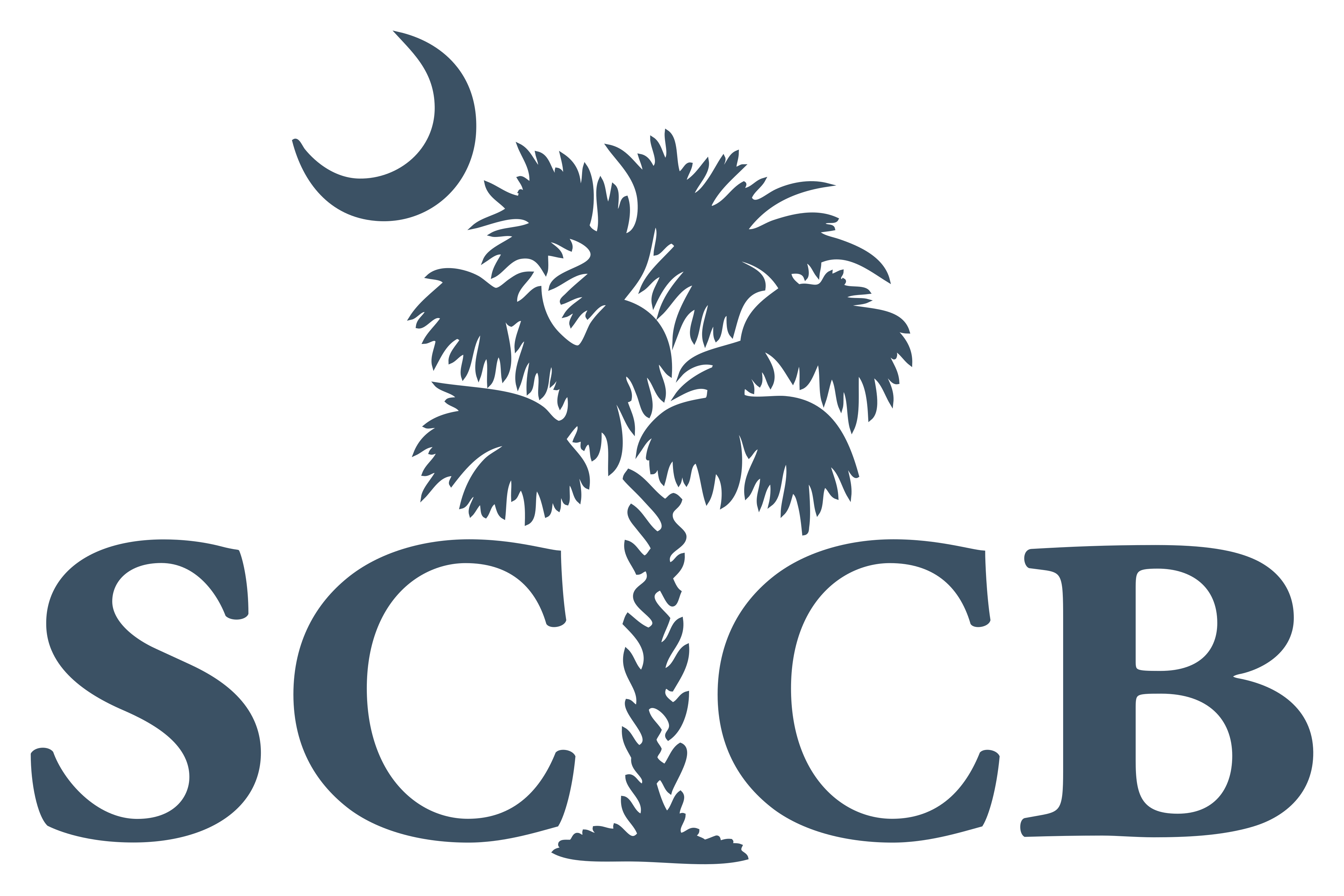 Do you want a career doing meaningful work that has a positive impact on people’s lives? Have you thought about a career in state government but weren’t sure how or where to begin? The SCCB is looking for hard working passionate individuals such as you! Every SCCB employee is important and a career with the SCCB will give you the opportunity to grow professionally and personally as you play a crucial role in the delivery of services to South Carolinians with visual impairments.