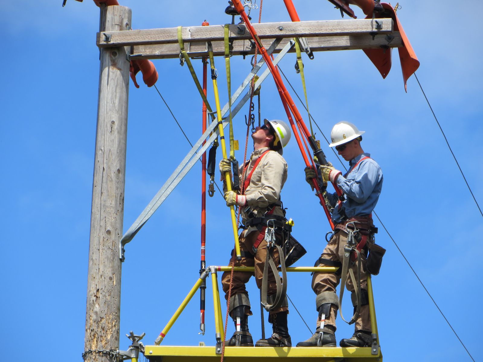 LICENSES, CERTIFICATES AND OTHER REQUIREMENTS