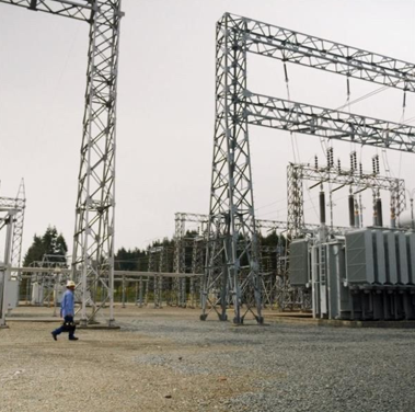 Physical Requirements and Essential Knowledge: