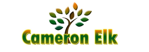 Logo featuring a stylized tree with green and orange leaves, accompanied by the text 