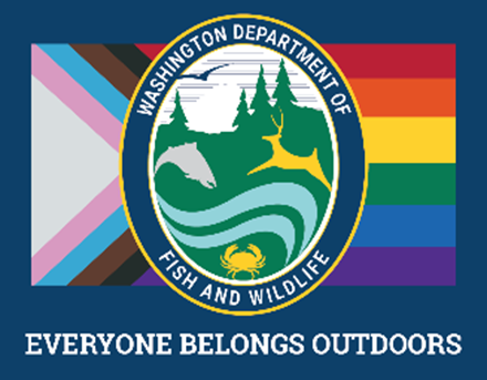 This is a rectangle-shaped logo with dark blue border around a Rainbow Pride LGTBQ Flag, and centered on top of the flag is small colorful oval shaped WDFW Logo with carton images of pine trees, a river, a fish, crab and deer. At the bottom of the rectangle, it reads: EVERYONE BELONGS OUTDOORS in white, all capital letters.