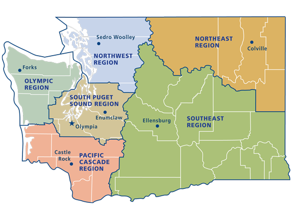 Our mission is to manage, sustain, and protect the health and productivity of Washington’s lands and waters to meet the needs economically and socially for current and future generations. At DNR we approach our work through the lens of making Washington a better place environmentally and are dedicated to serving Washington’s lands and communities through diversity, equity, and inclusion.