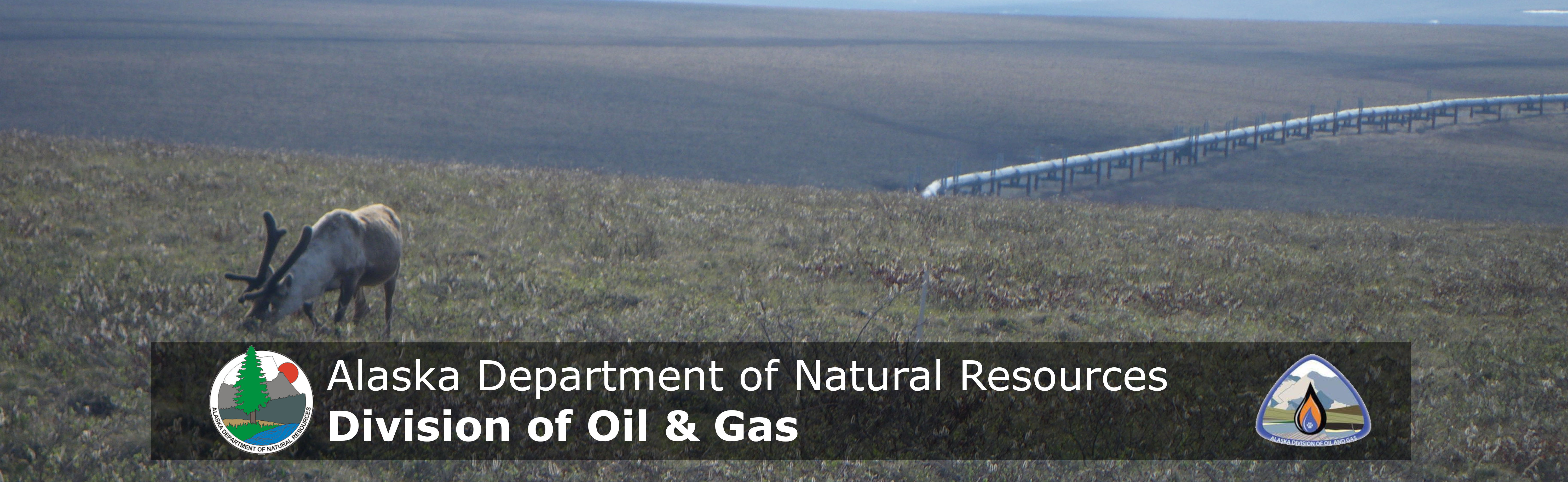 The Department of Natural Resources, Division of