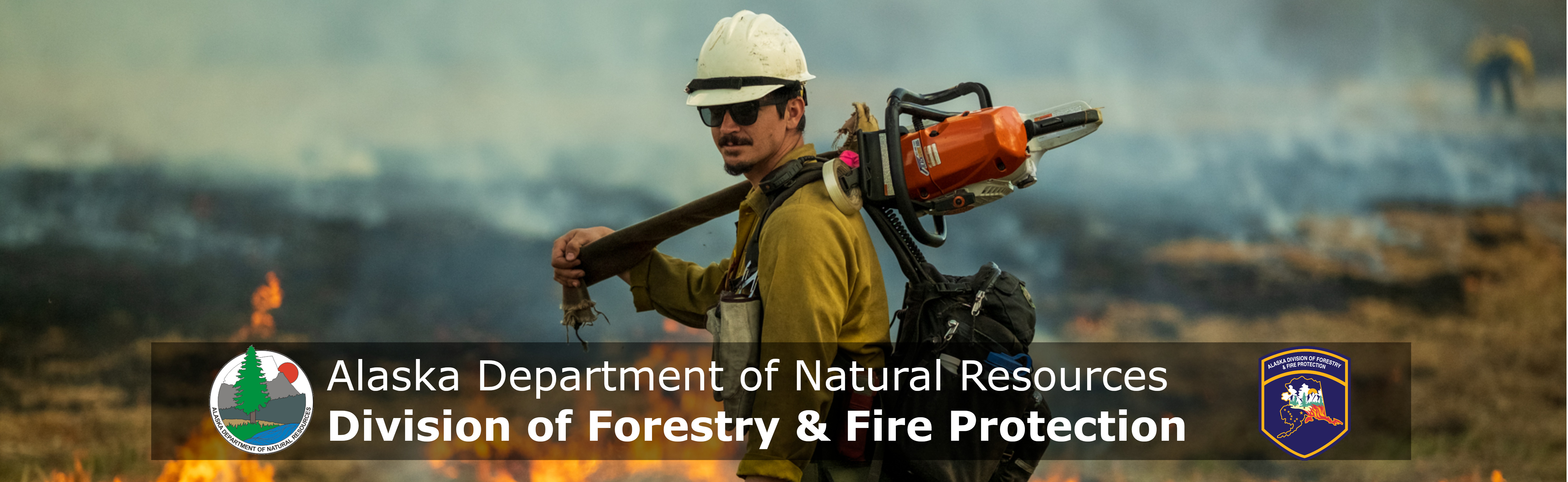 The Department of Natural Resources, Division of