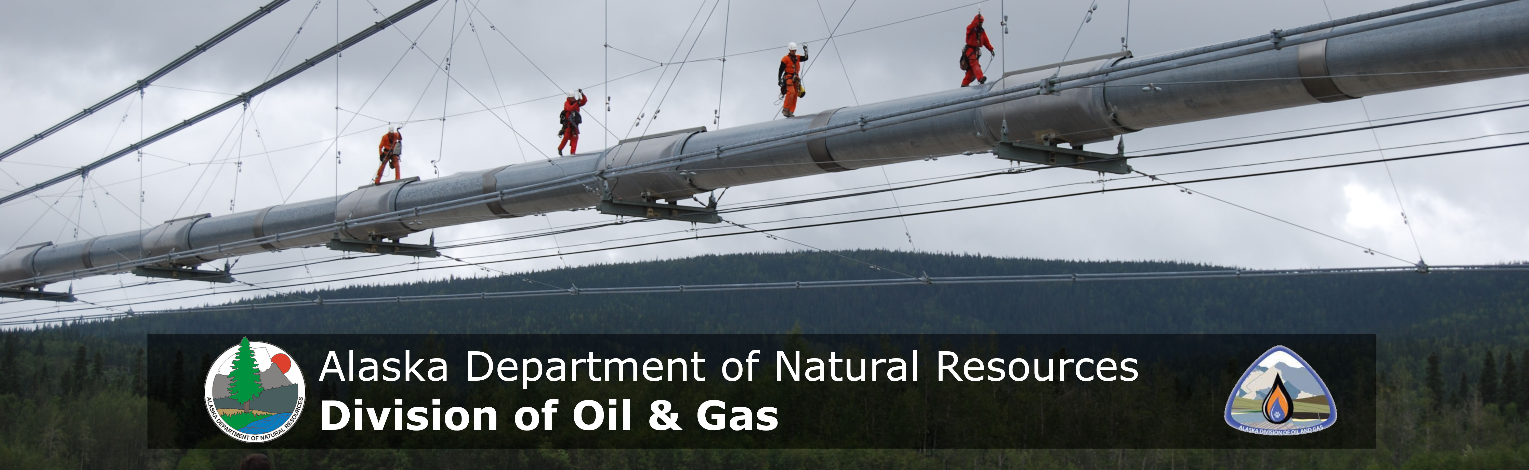 The Department of Natural Resources, Division of