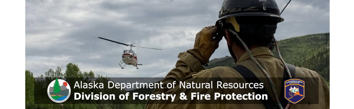 The Department of Natural Resources, Division of