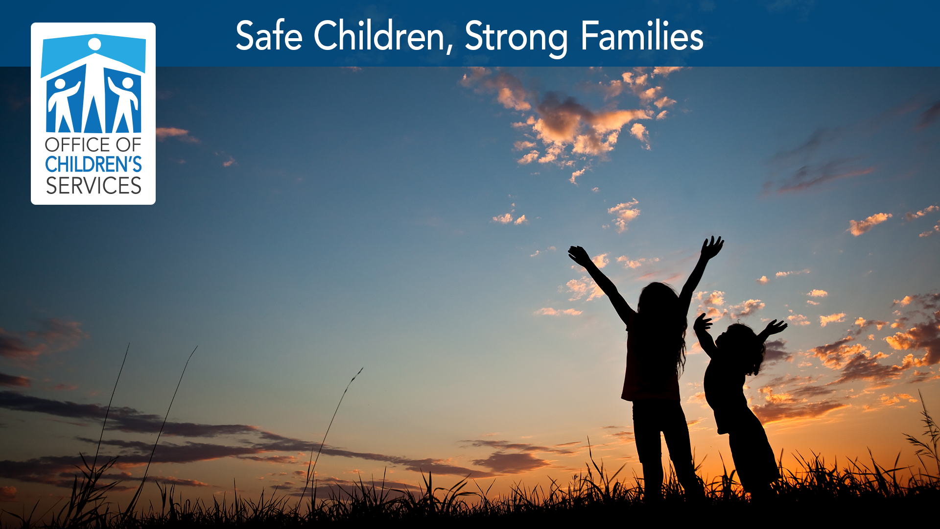 What you will be doing