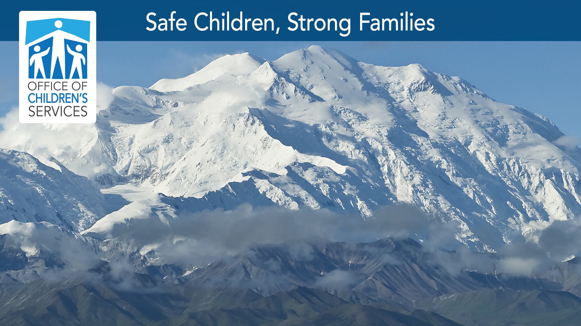 What you will be doing