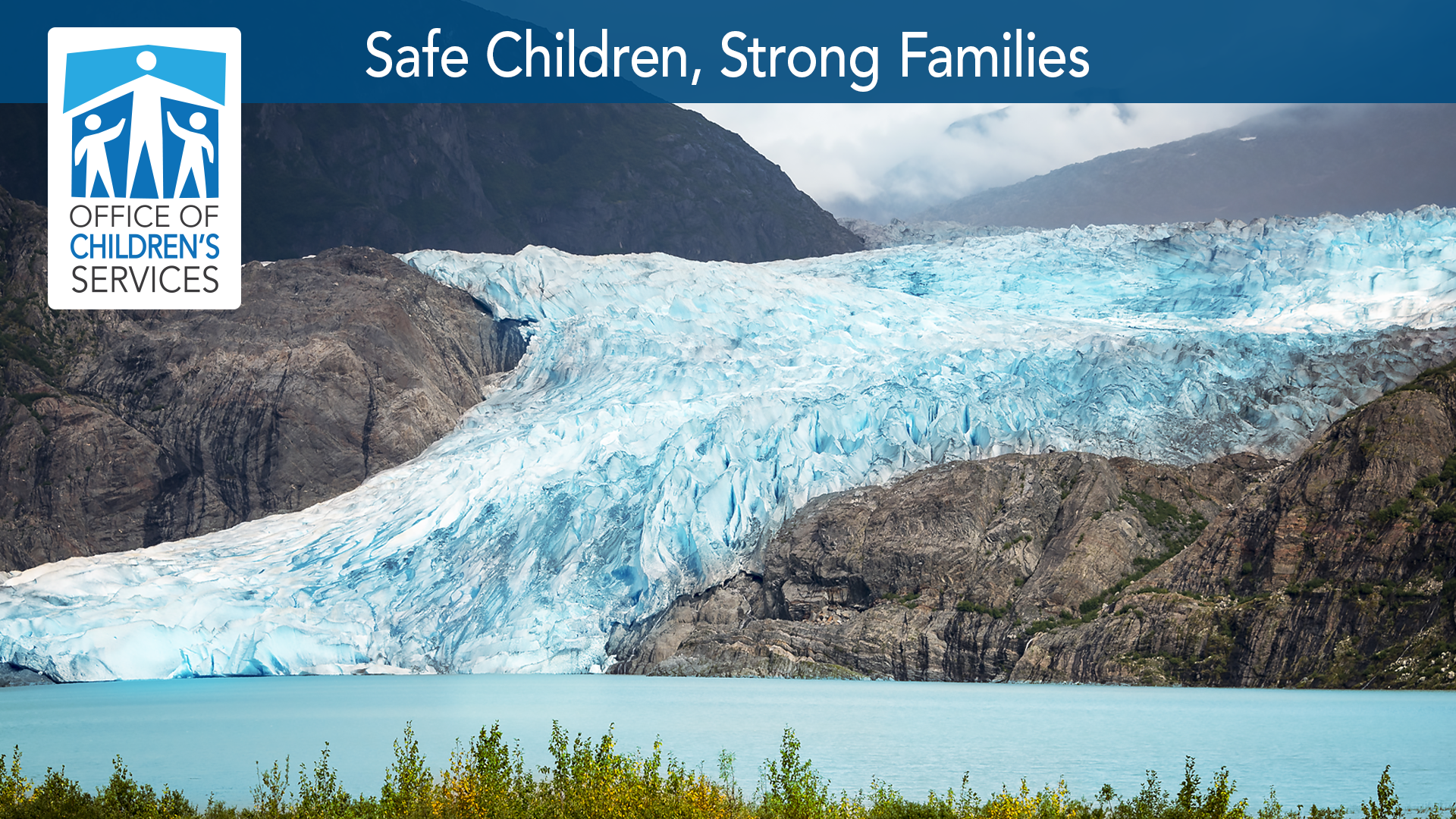 What you will be doing