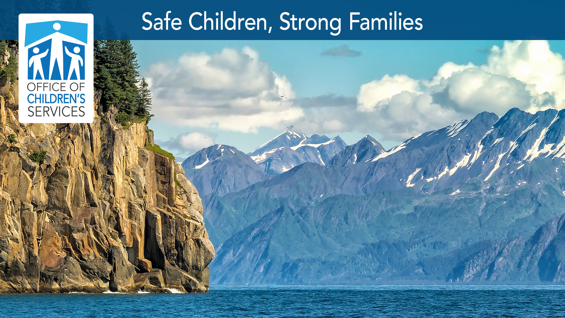 What you will be doing