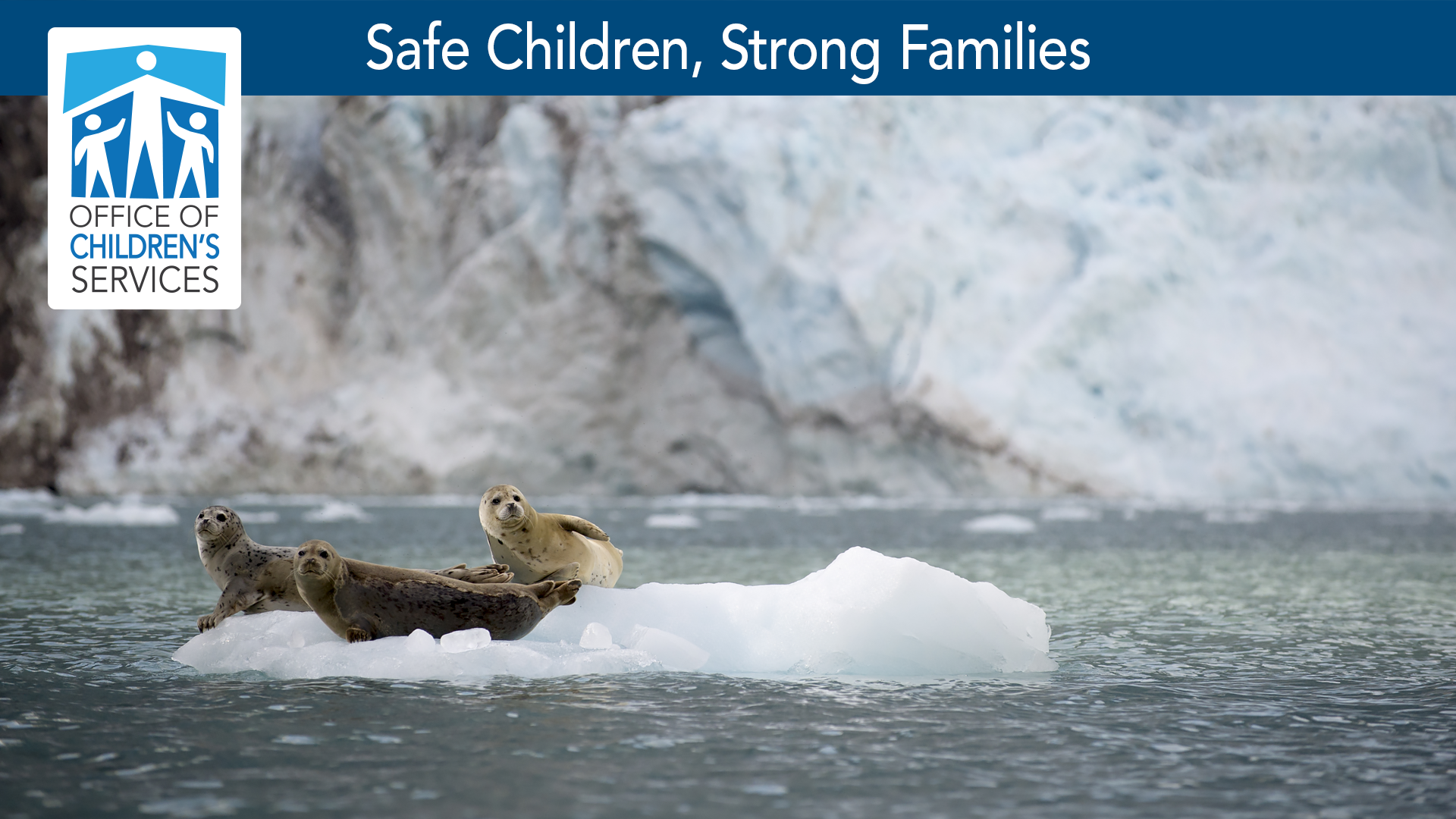 What you will be doing