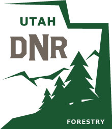 Job Title: Financial Analyst III