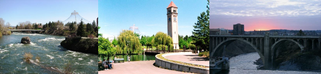 Project Employee - Language Access Coordinator