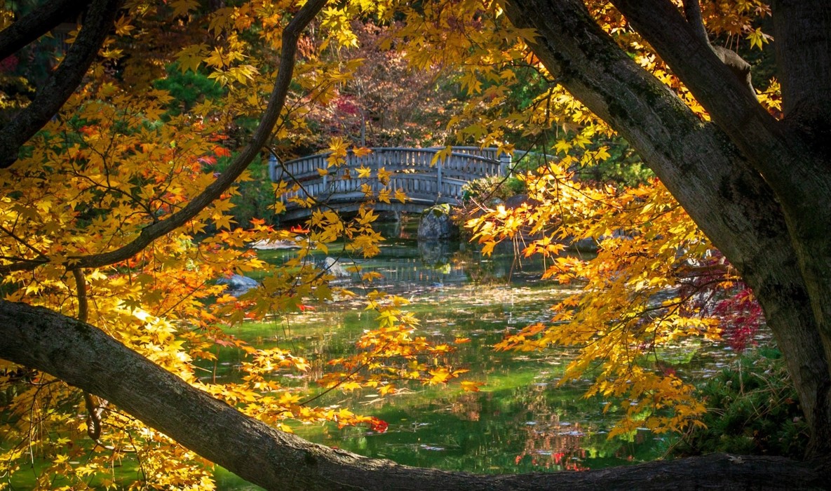 We are an equal opportunity employer and value diversity within our organization. We do not discriminate on the basis of race, religion, color, national origin, gender identity, sexual orientation, age, marital status, familial status, genetic information, veteran/military status or disability status. As a Fair Chance employer, City of Spokane does not conduct initial background screening for non-public safety positions.